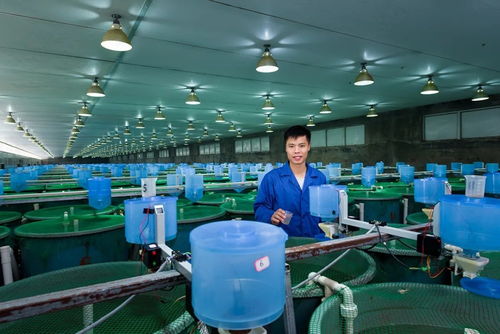 海大集團(tuán) 連續(xù)多年保持20 以上增長(zhǎng)速度的背后力量